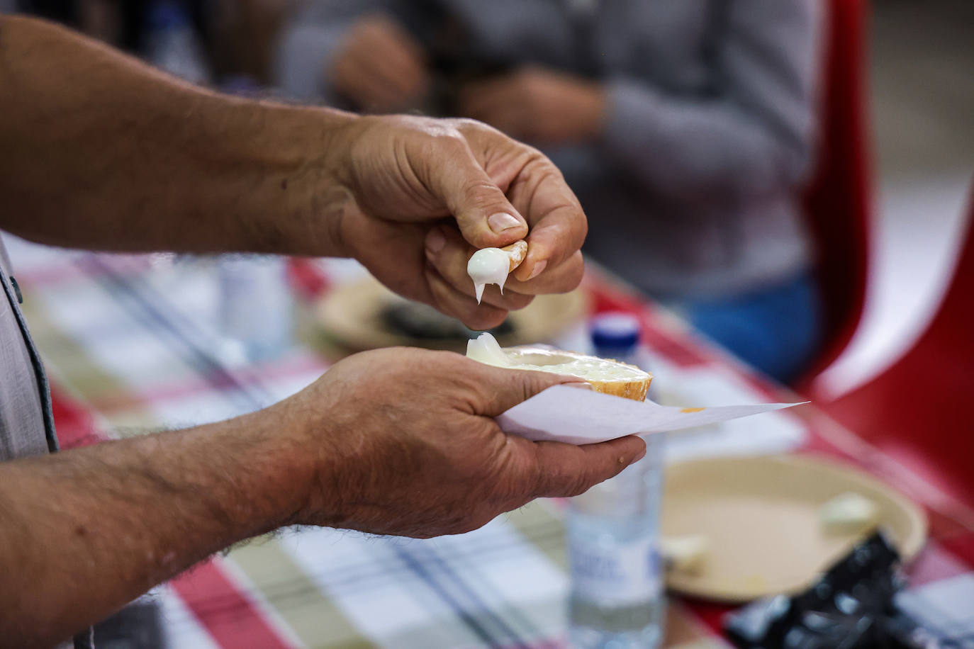XII Vive la Trashumancia y IV Feria del Queso Artesano (III)