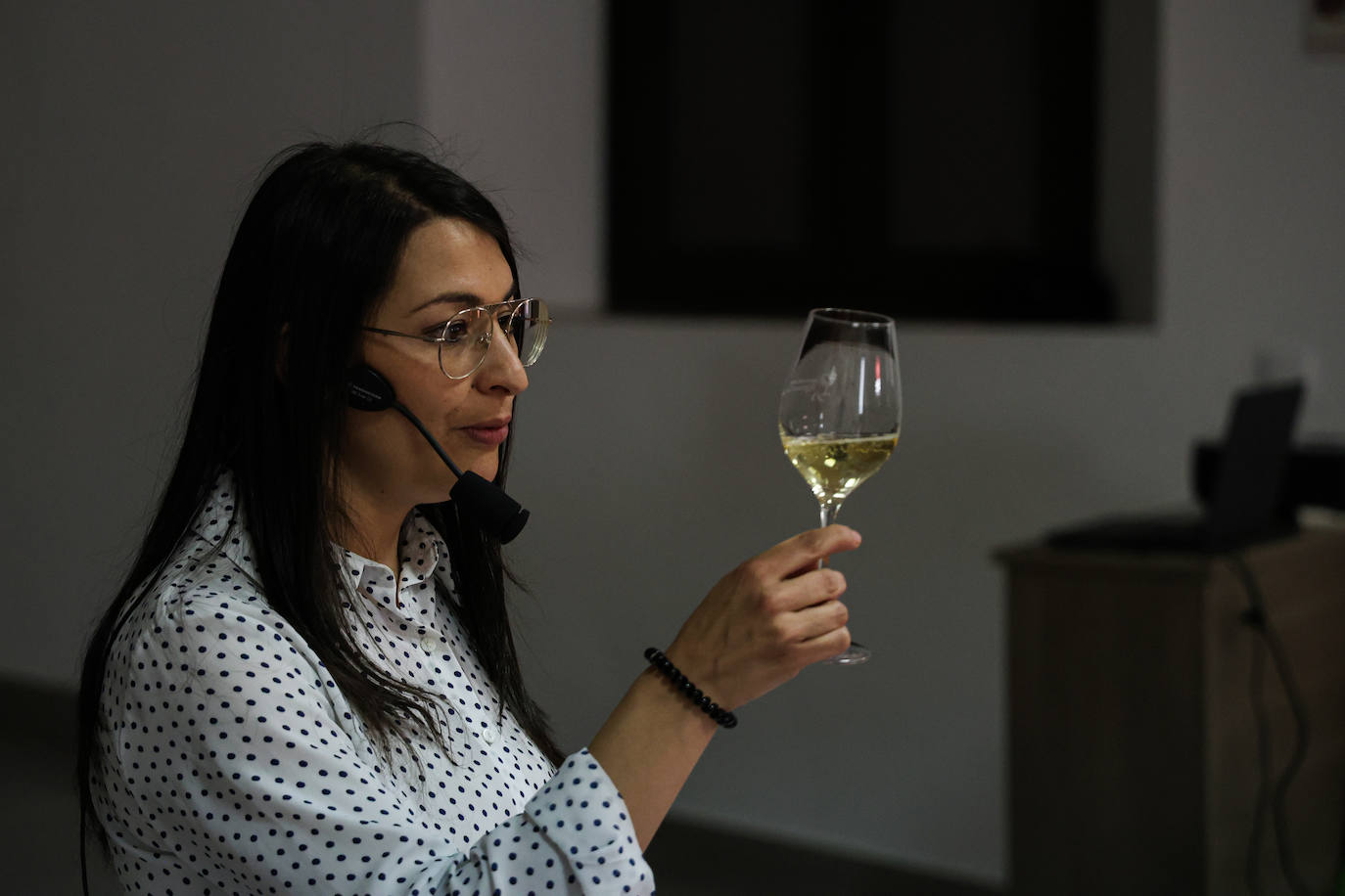 XII Vive la Trashumancia y IV Feria del Queso Artesano (IV)