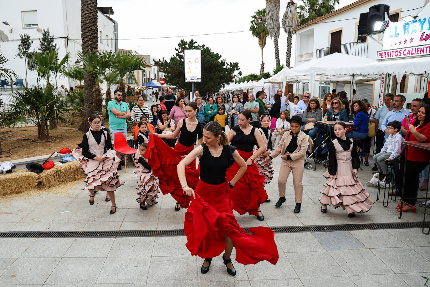 XII Vive la Trashumancia y IV Feria del Queso Artesano (IV)