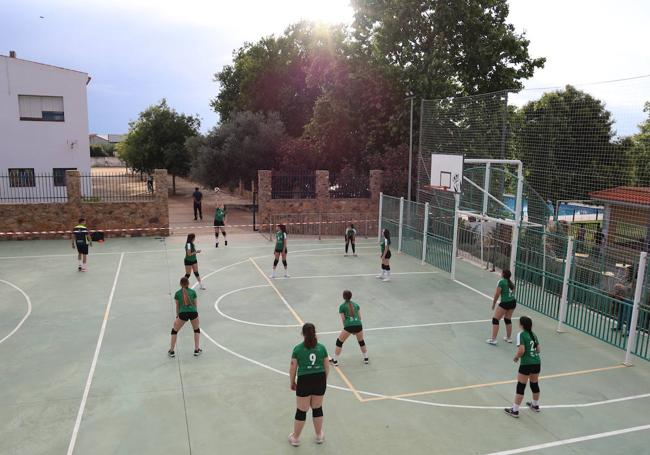 Durante un partido de voleibol