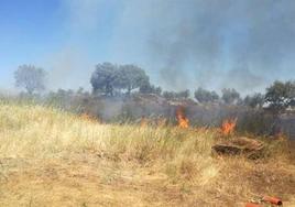 Incendio en un solar en Valverde de Leganés