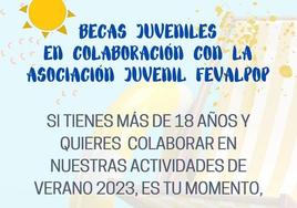 La Asociación Juvenil Fevalpop busca becarios para las actividades del verano