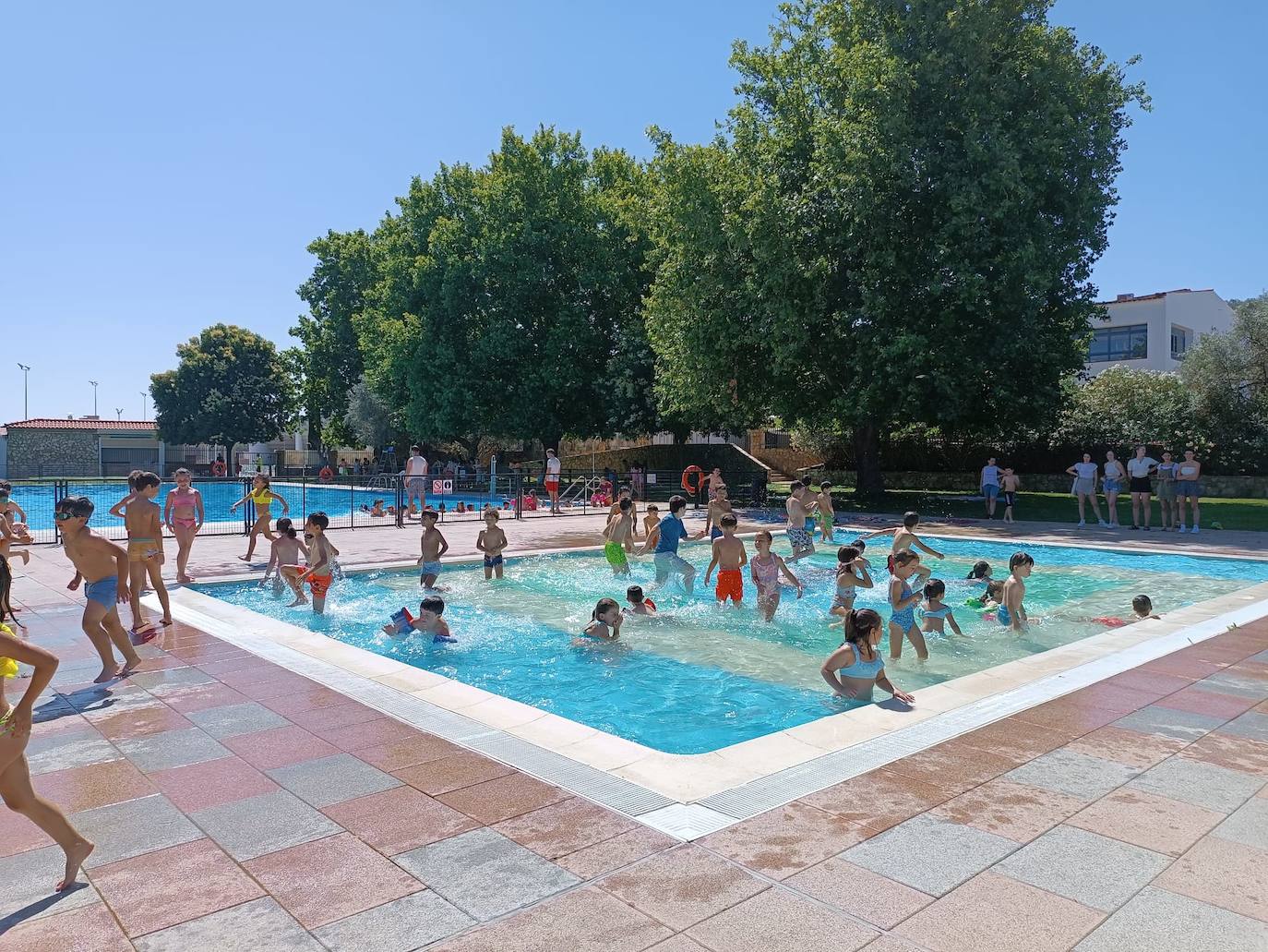Primera quincena del Campapento de Verano &#039;La Tribu&#039;