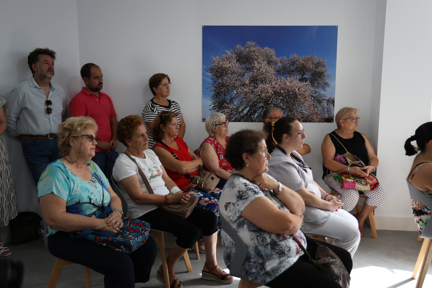 Presentación del Cupón con el Almendro Real