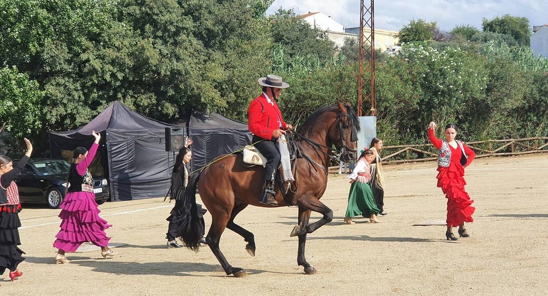 Feria del Cristo