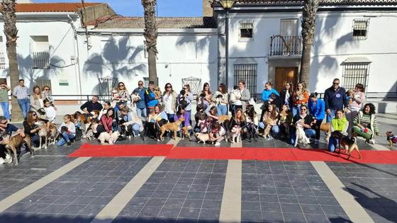 Inscripciones abiertas al IV Desfile Canino organizado por Amaval