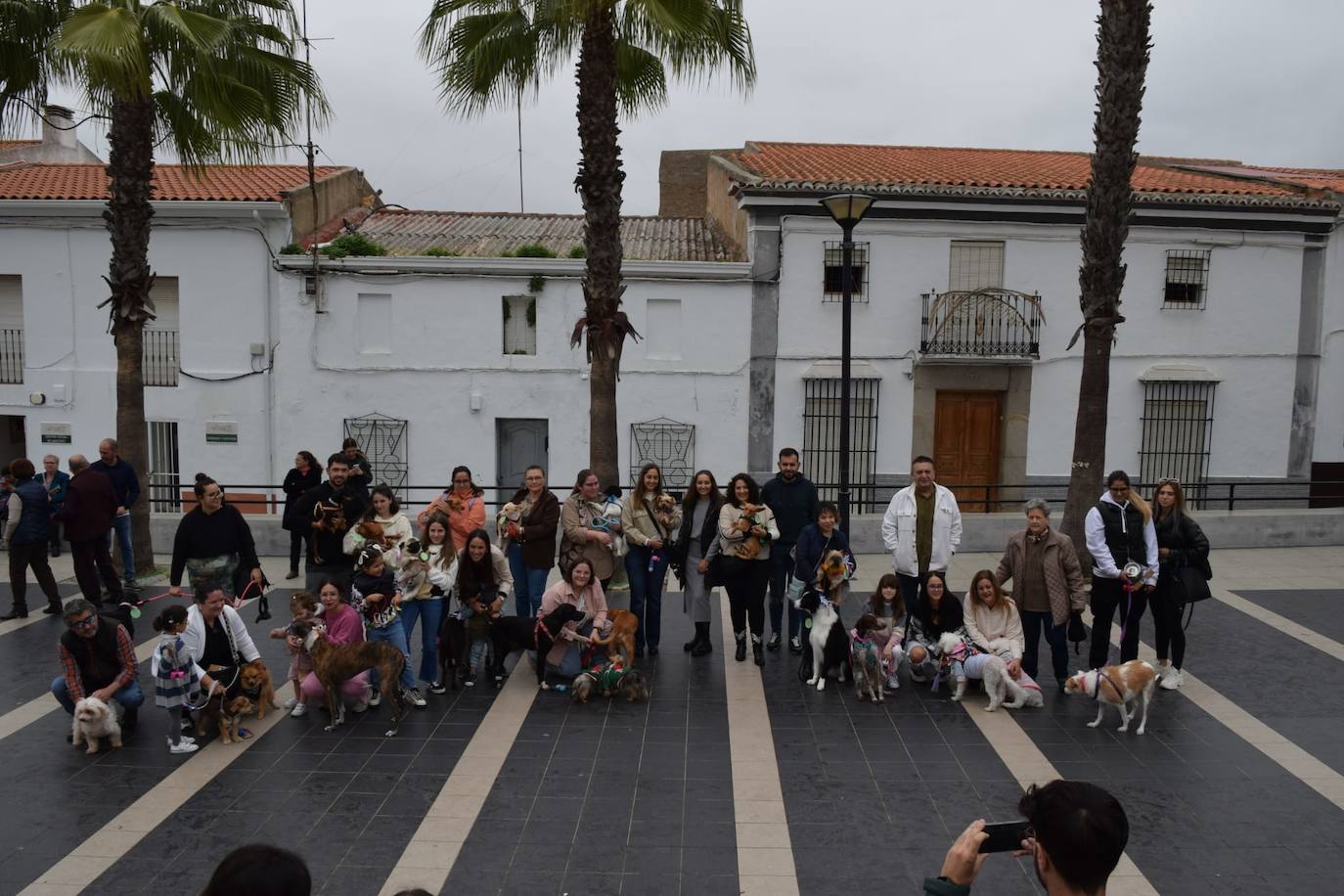 IV Desfile Canino