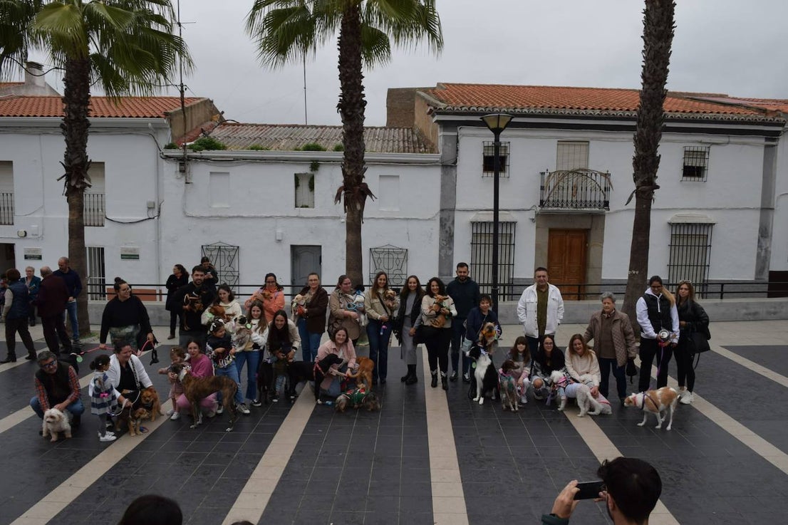 IV Desfile Canino