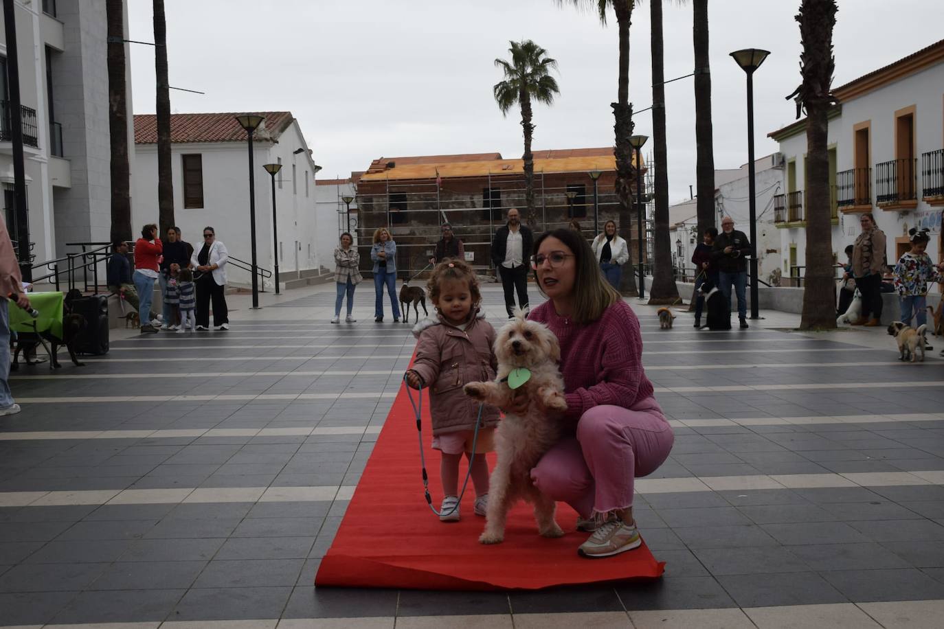 IV Desfile Canino