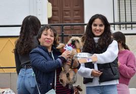 IV Desfile Canino