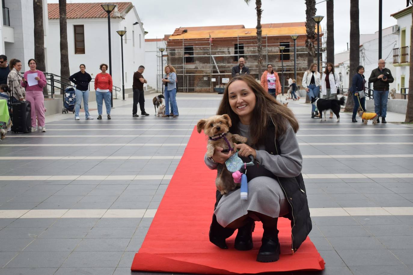 IV Desfile Canino