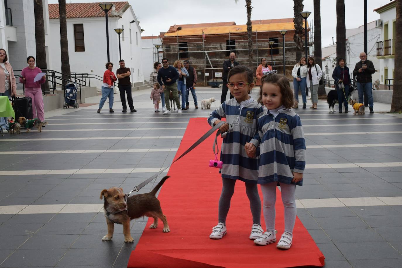 IV Desfile Canino