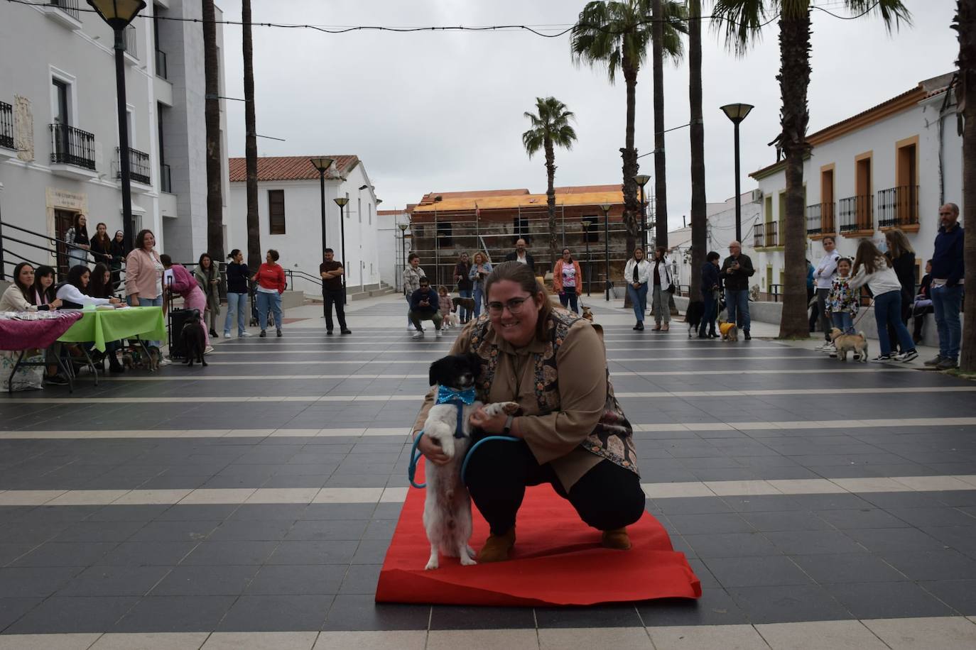 IV Desfile Canino
