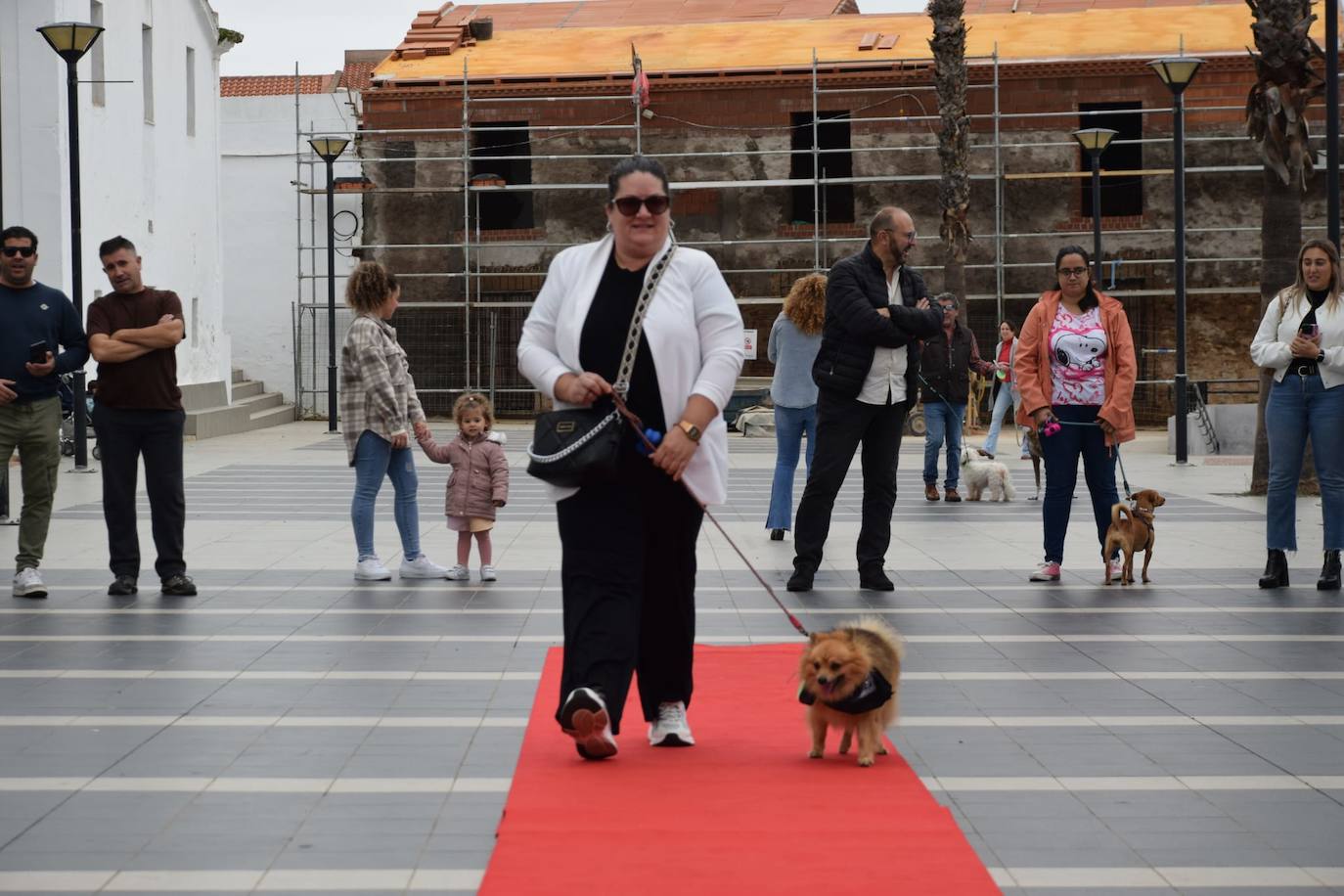 IV Desfile Canino