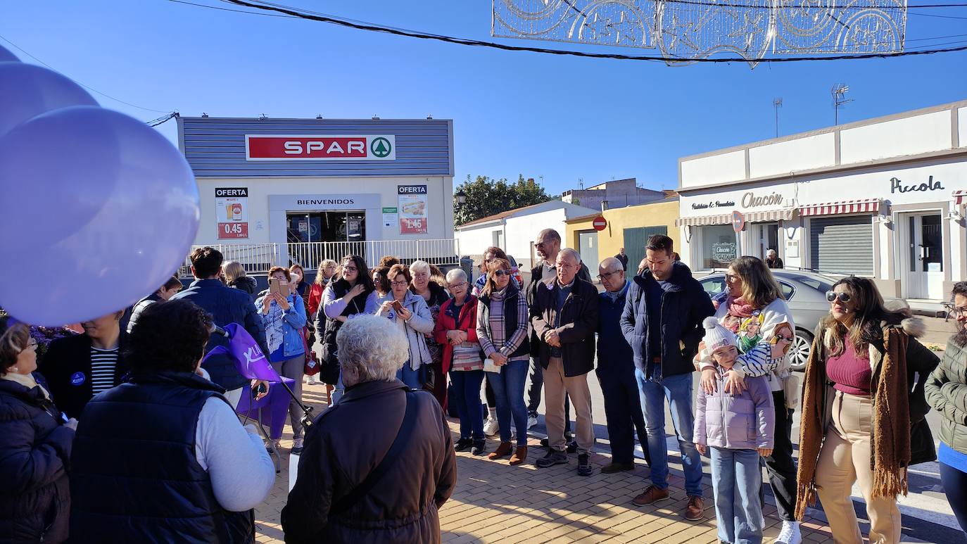 Día de la Eliminación de la Violencia contra la Mujer