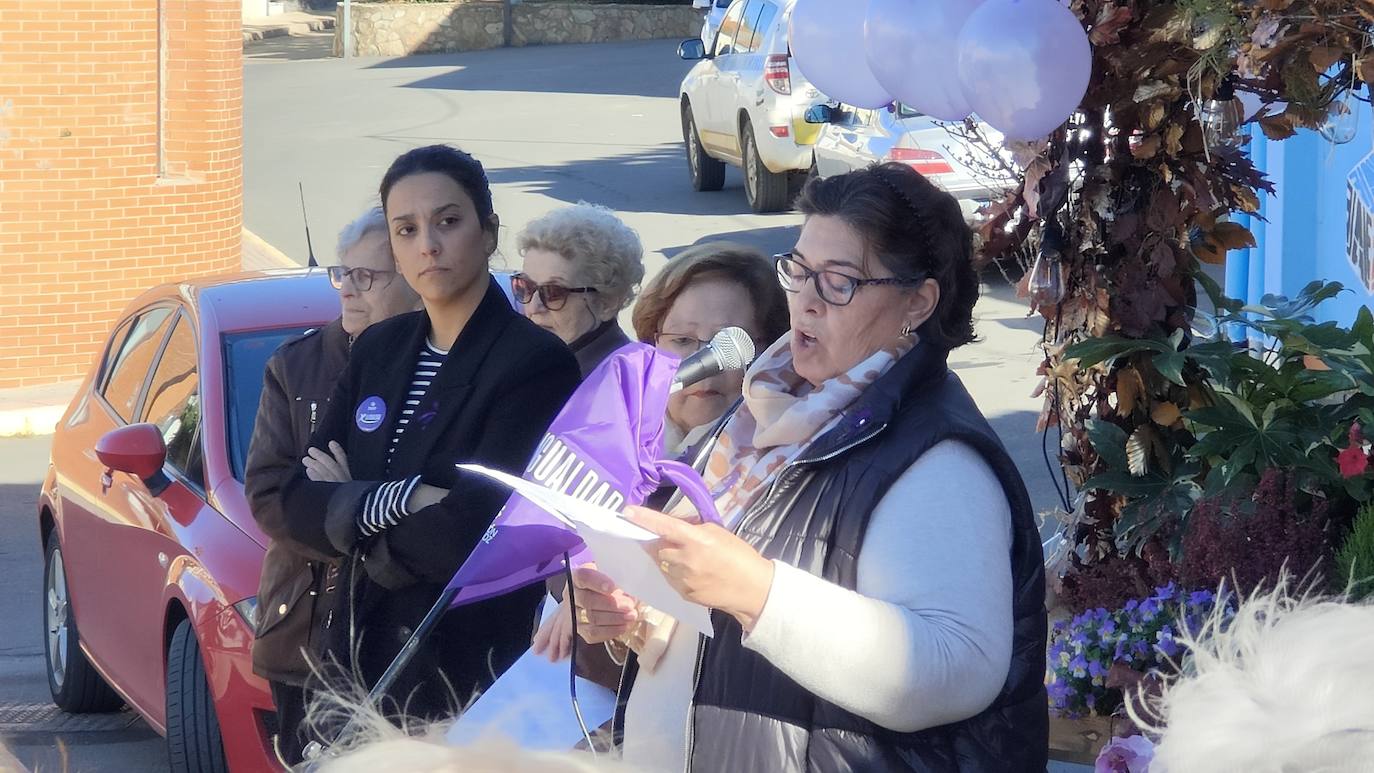 Día de la Eliminación de la Violencia contra la Mujer