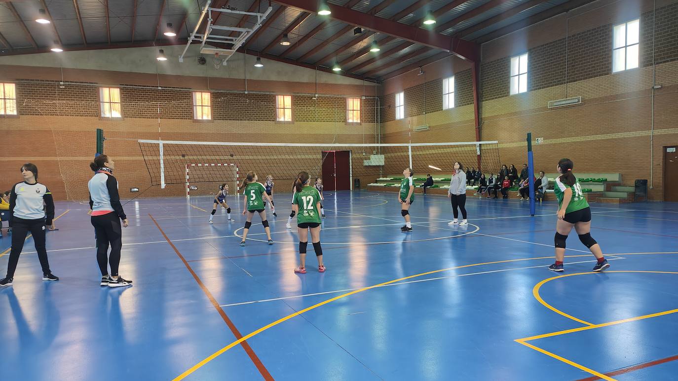 Voleibol Alevín EMD Valverde - CD Marsitas A