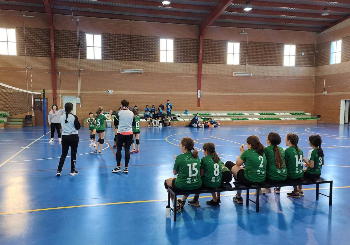 Voleibol Alevín EMD Valverde - CD Marsitas A