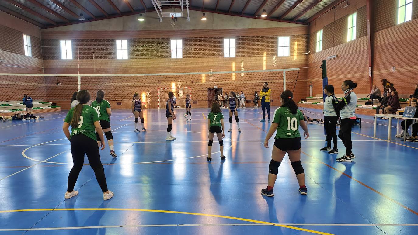 Voleibol Alevín EMD Valverde - CD Marsitas A