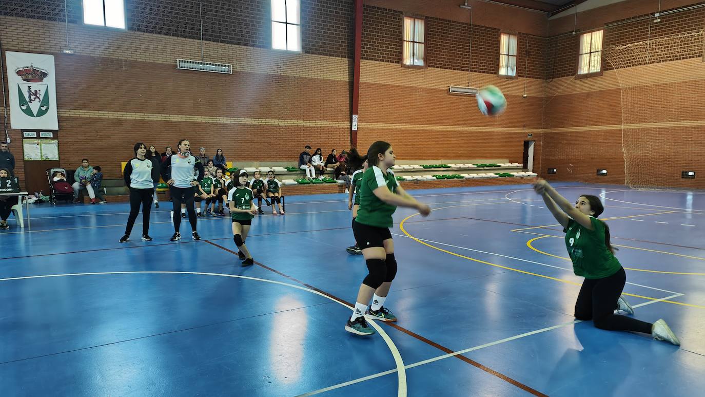 Voleibol Alevín EMD Valverde - CD Marsitas A