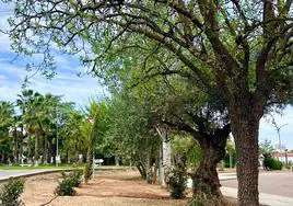 Una de las zonas verdes en la localidad