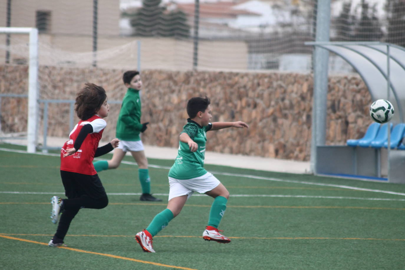 Fotos: Alevines B - Alevines B