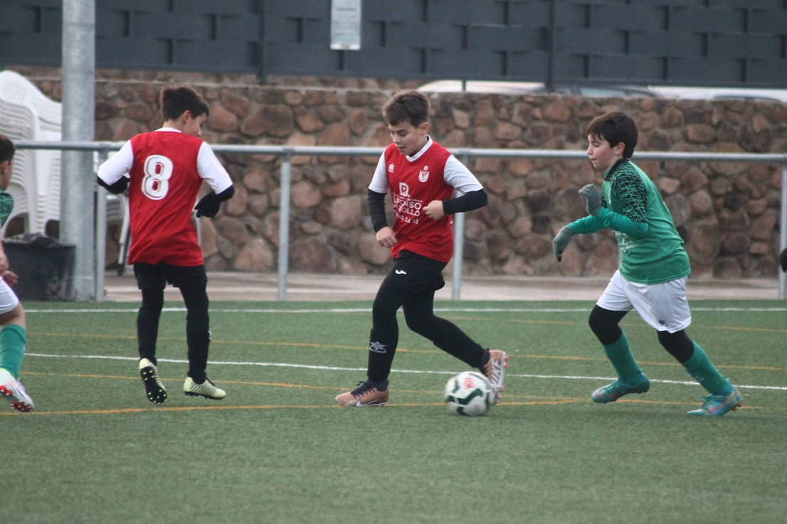 Fotos: Alevines B - Alevines B