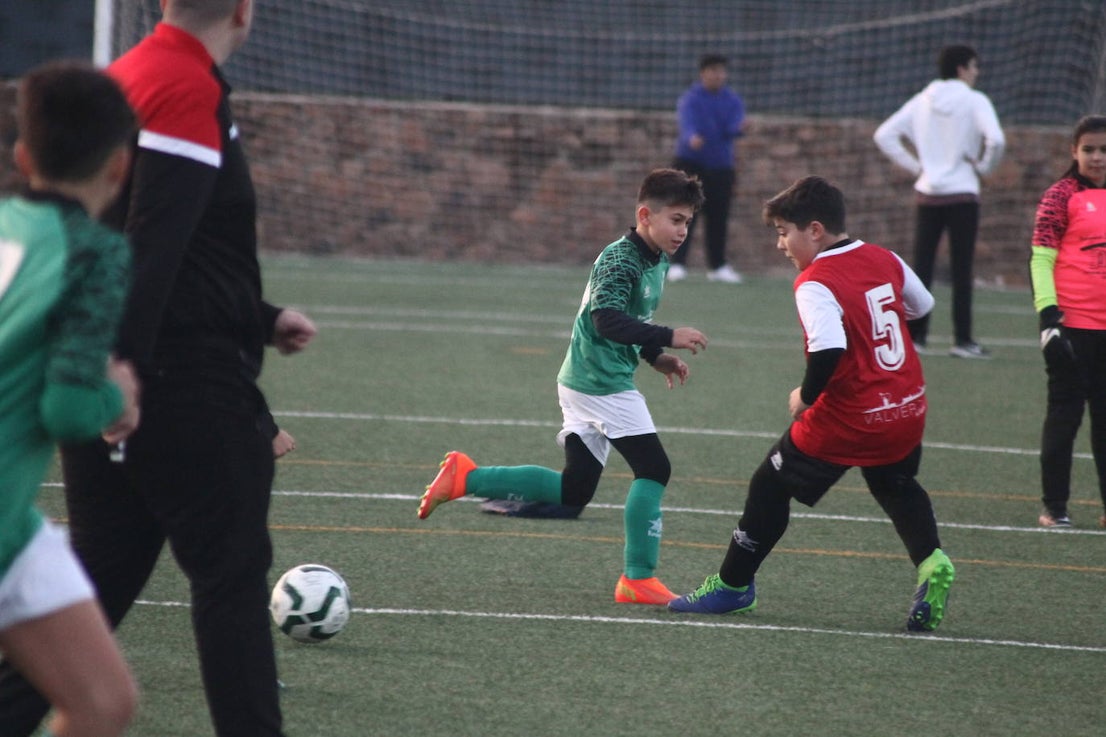 Fotos: Alevines B - Alevines B