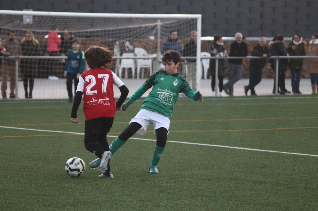 Fotos: Alevines B - Alevines B