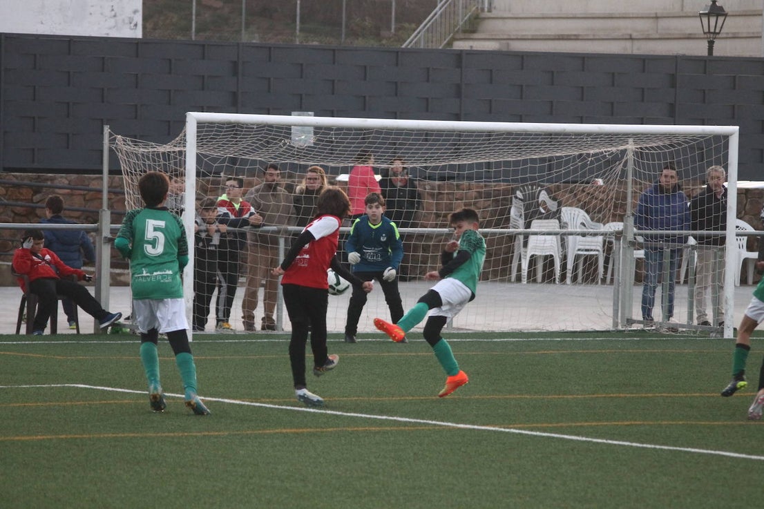 Fotos: Alevines B - Alevines B