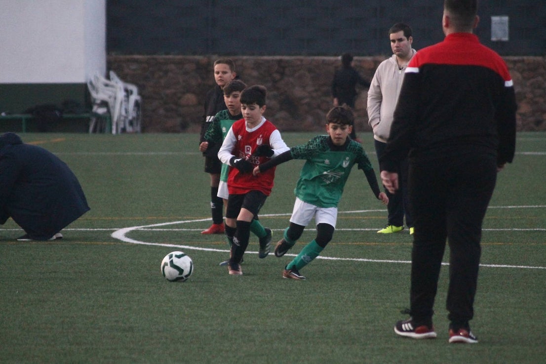 Fotos: Alevines B - Alevines B