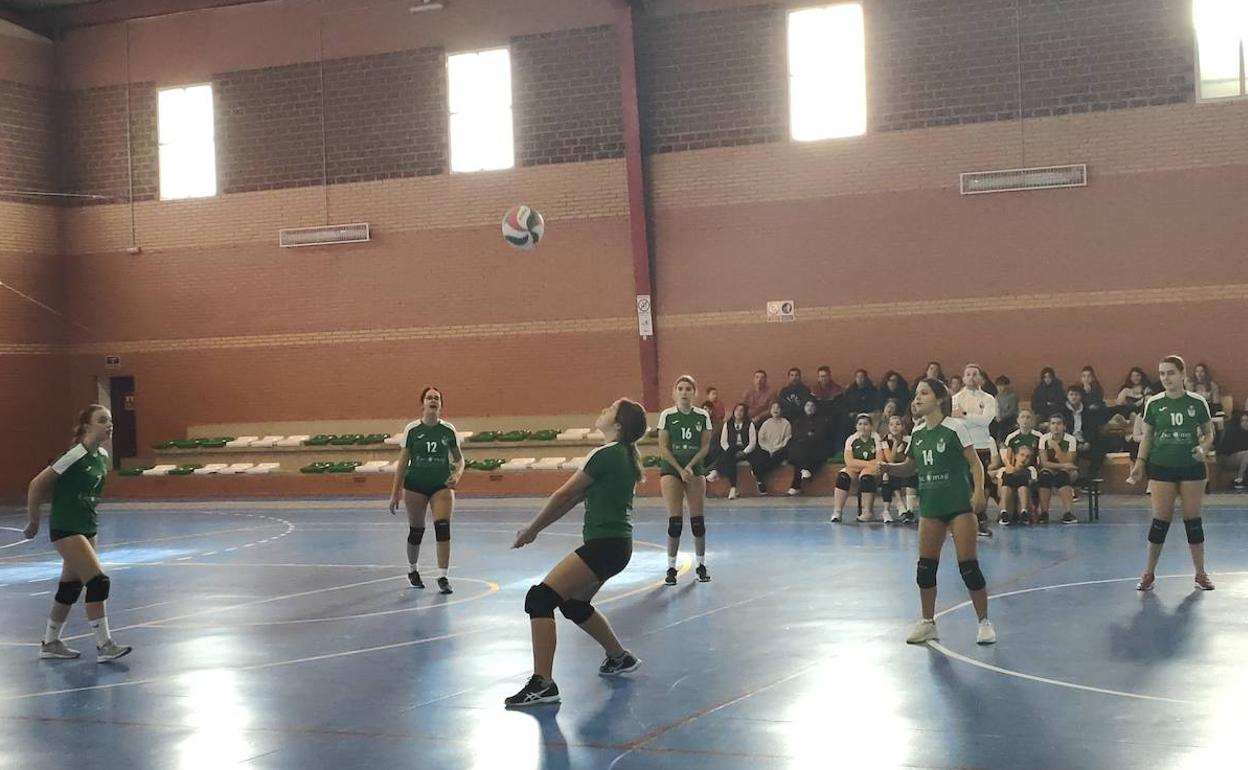 Voleibol: Infantiles y cadetes de voleibol comienzan la segunda fase con derrota