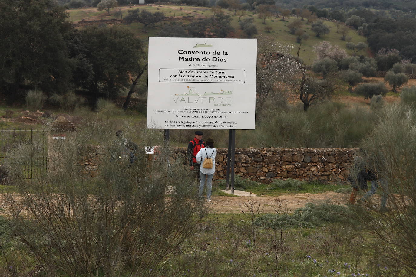 Fotos: Almendro Real (II)