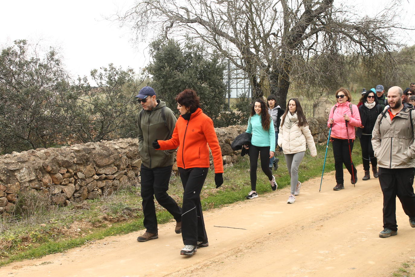 Fotos: Almendro Real (II)