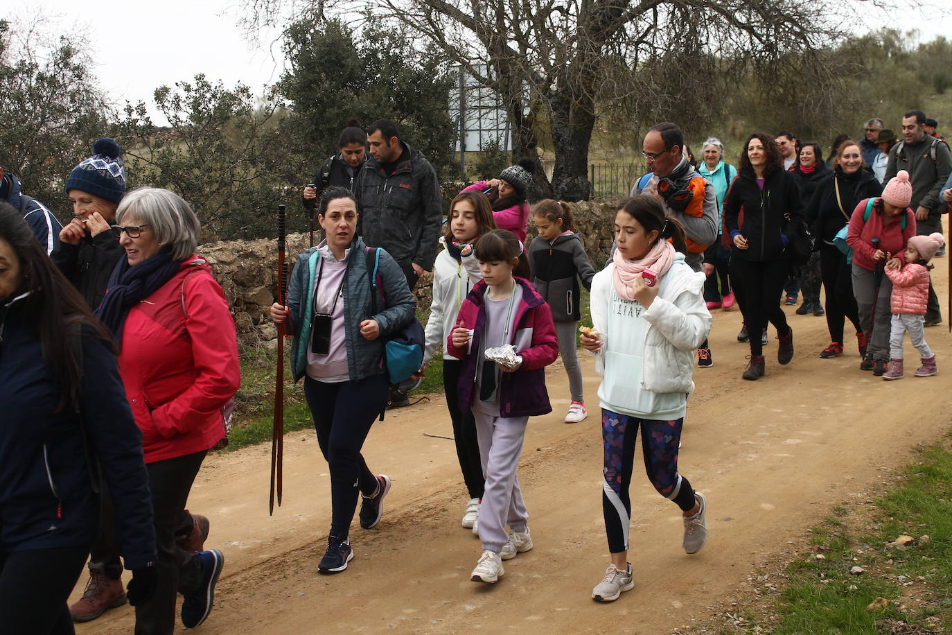 Fotos: Almendro Real (II)