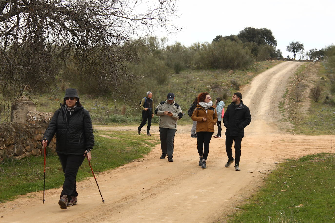 Fotos: Almendro Real (II)