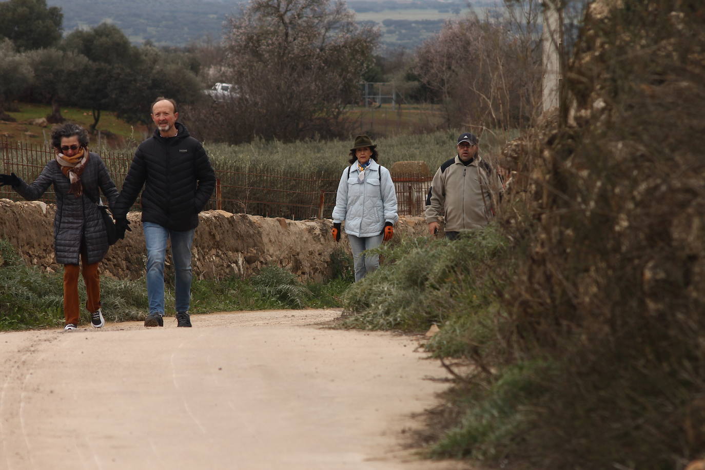 Fotos: Almendro Real (II)