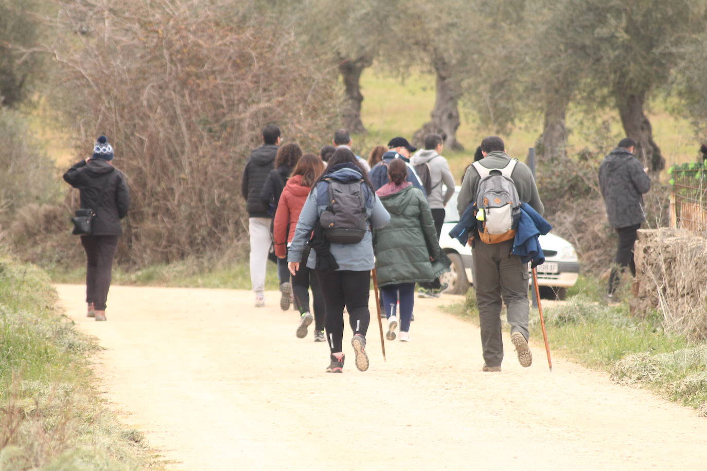 Fotos: Almendro Real (II)