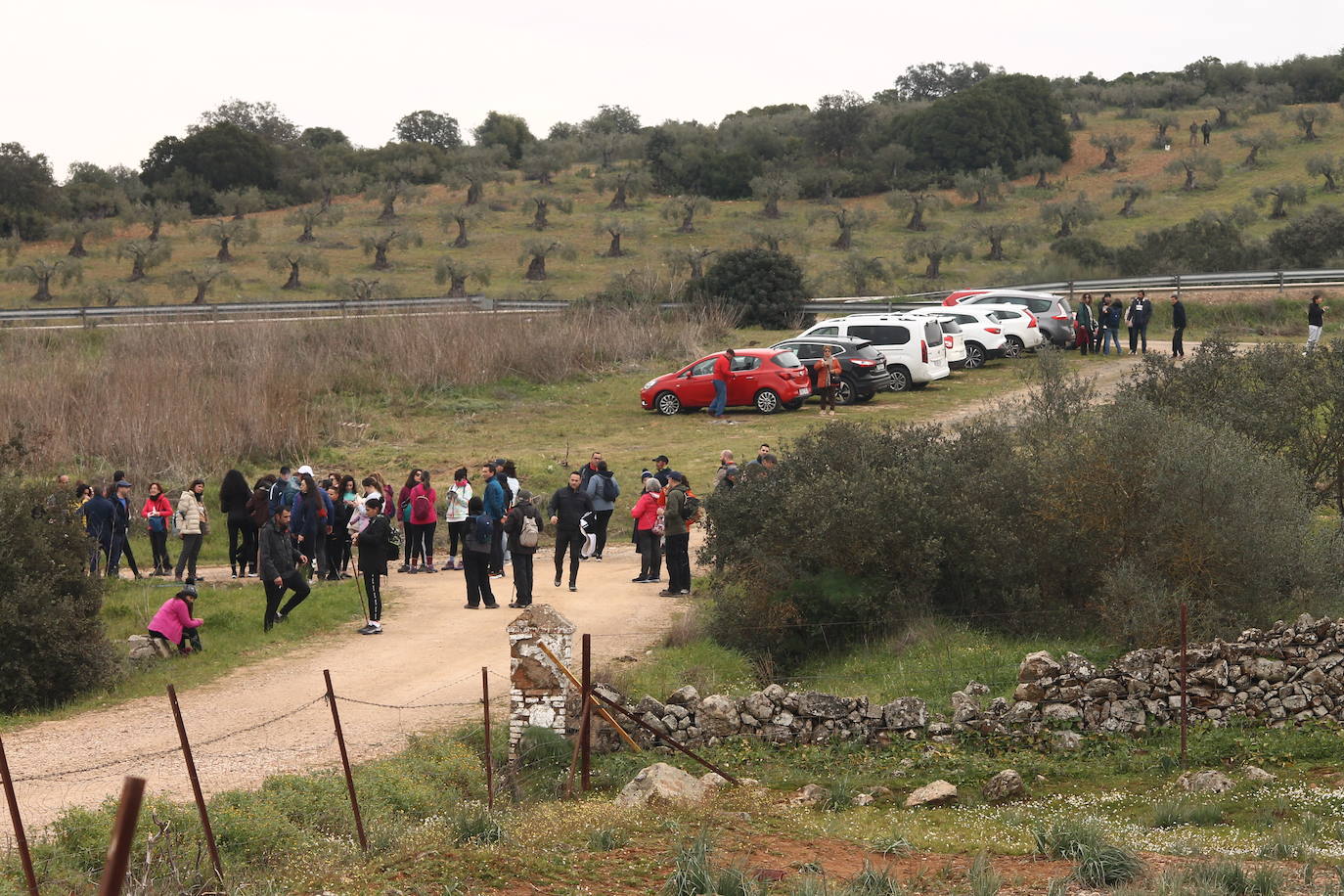 Fotos: Almendro Real (II)