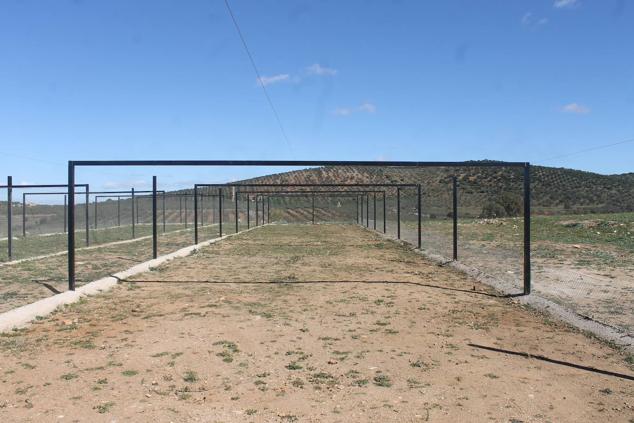 Fotos: Inauguración del Centro de Reproducción Cinegética