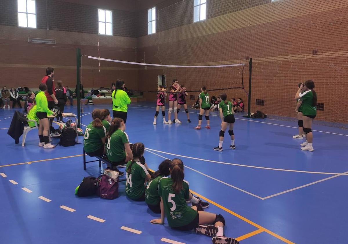 Los equipos de voleibol ya han vuelto tras el parón navideño