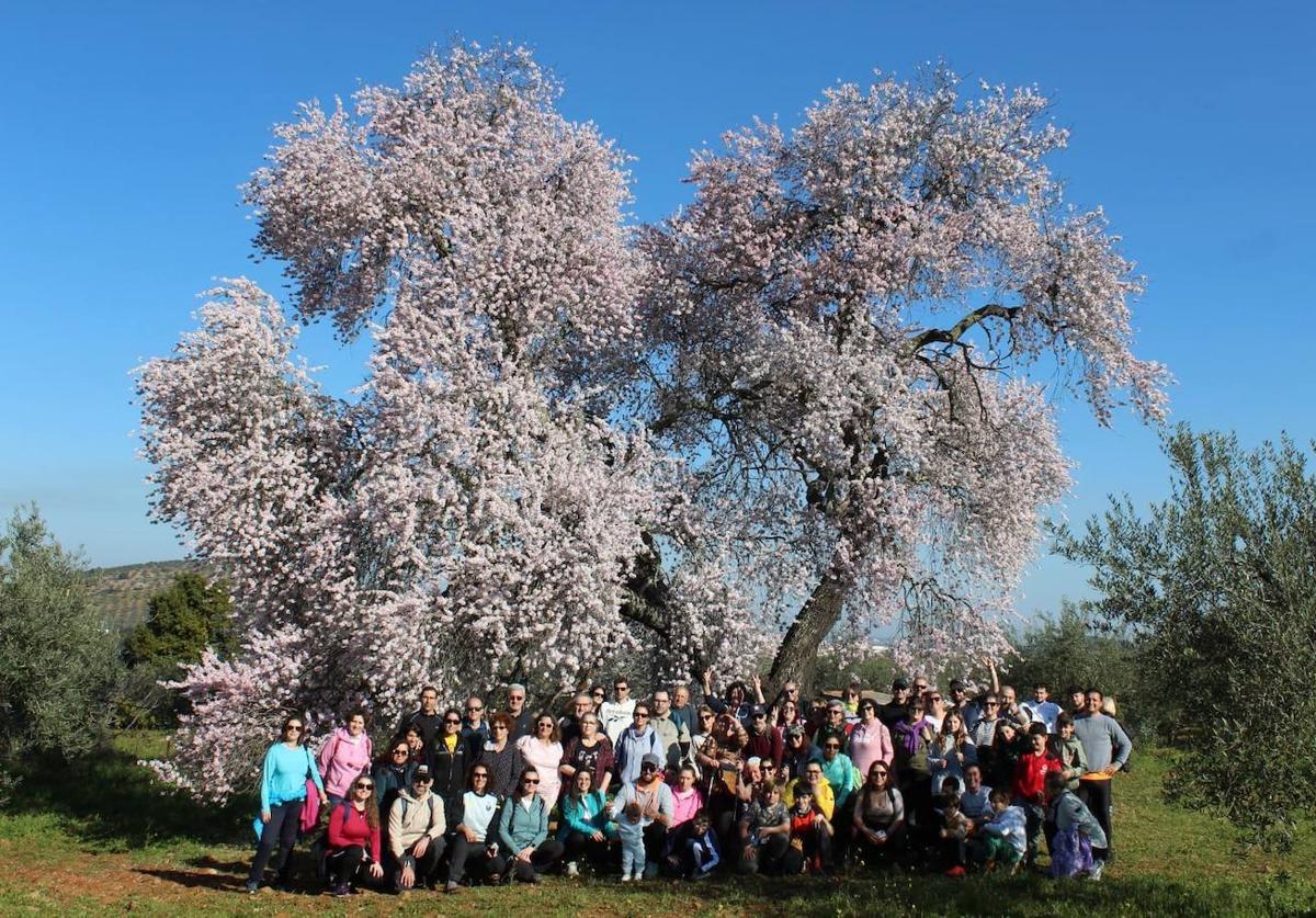 Celebrada la primera de las rutas organizadas al Almendro Real