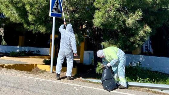 Máxima precaución. Llega la procesionaria