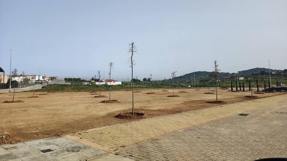 Crean varias zonas verdes en la Urbanización La Era