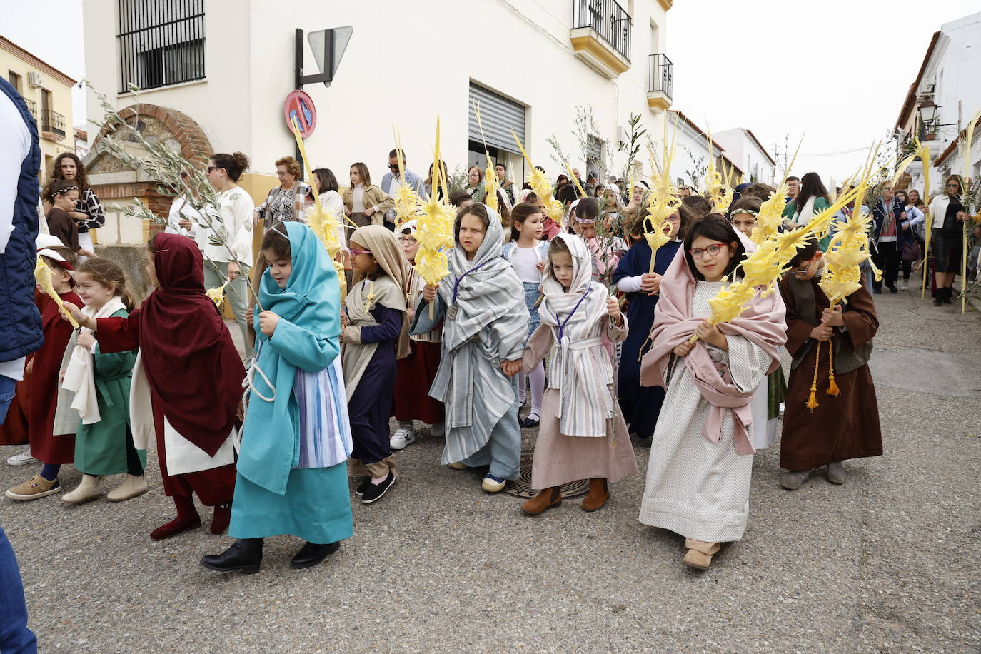 Domingo de Ramos 2024