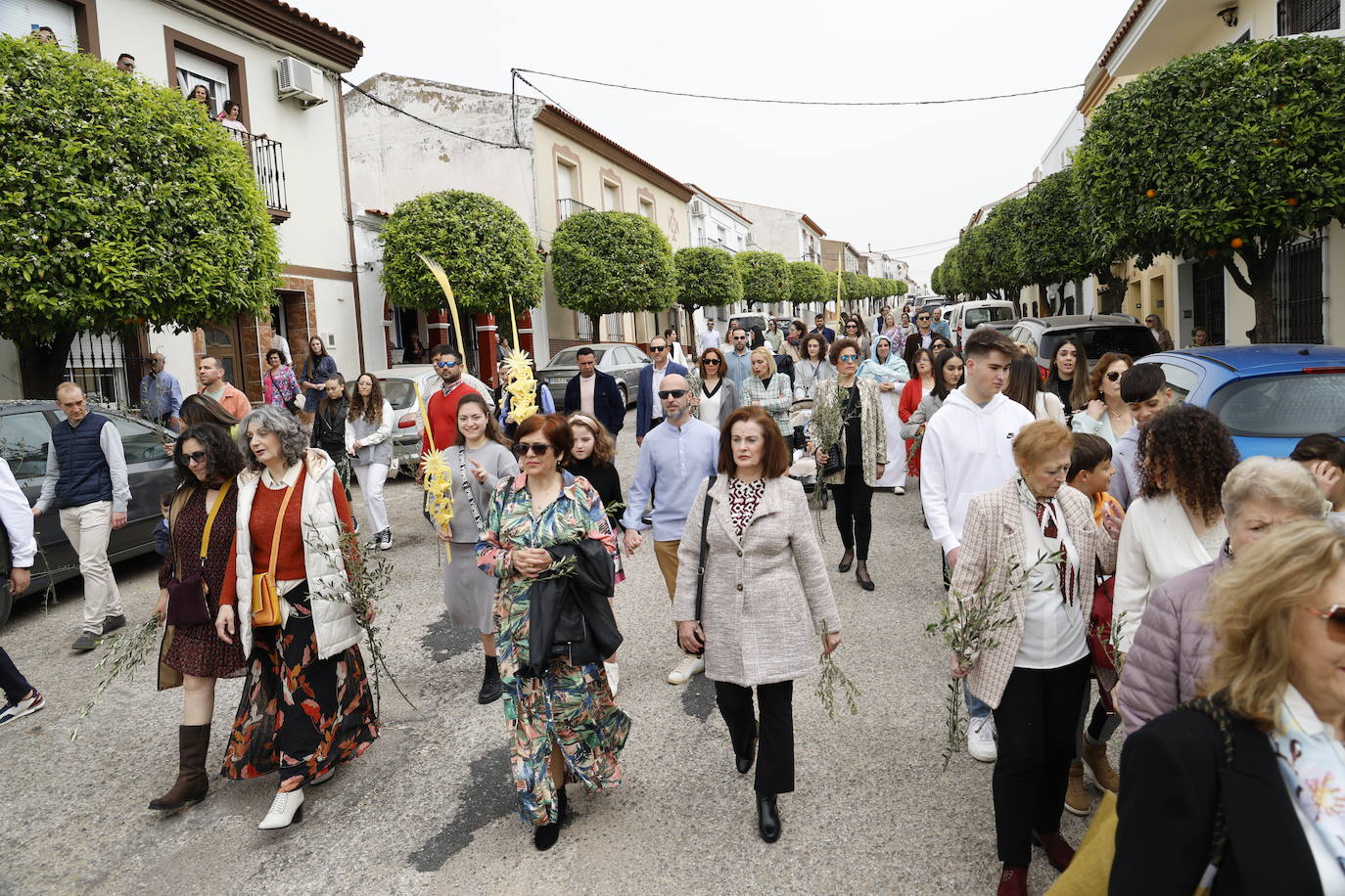 Domingo de Ramos 2024