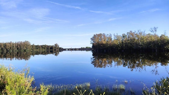 Valverde es el municipio con mejor rendimiento hidráulico de la provincia