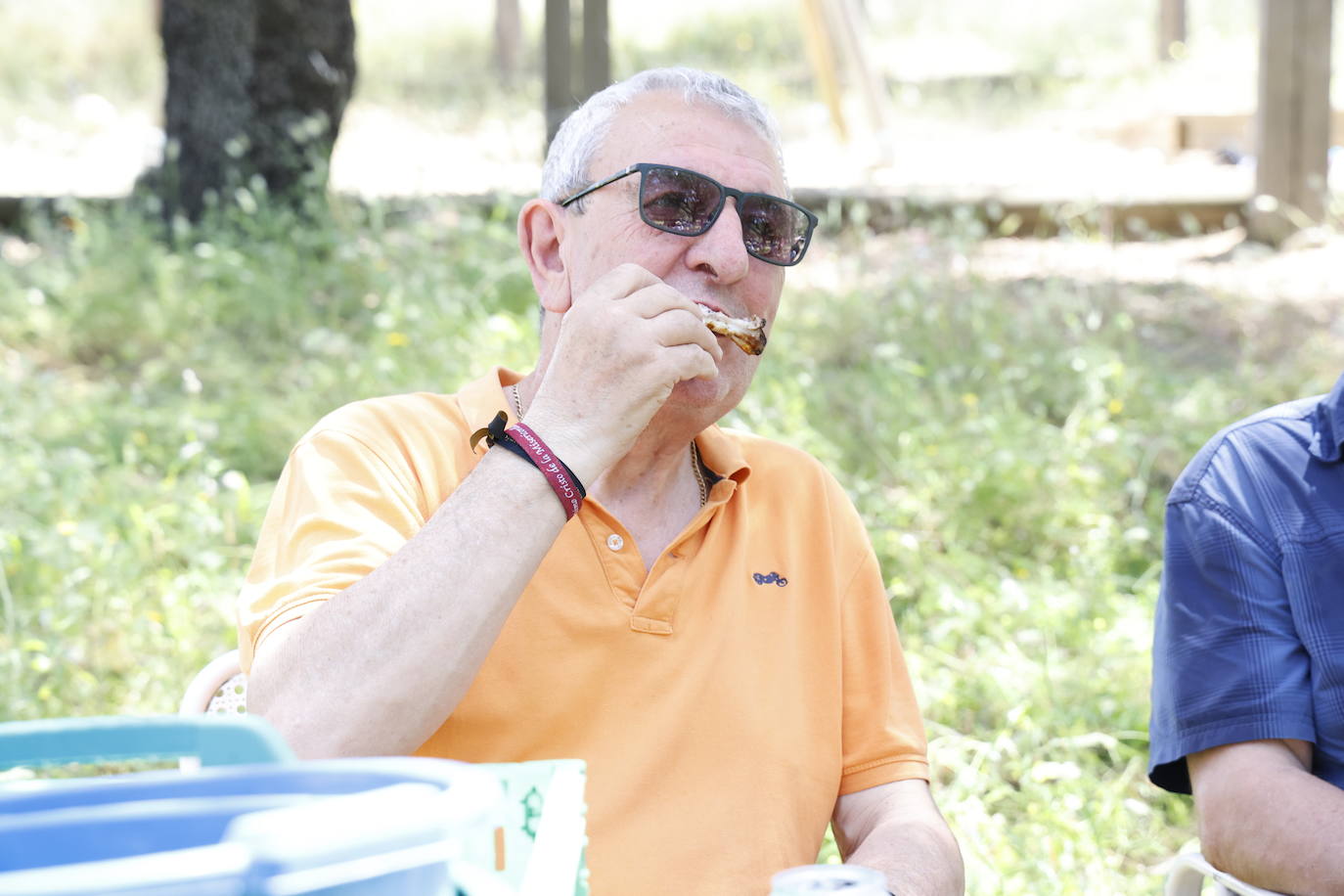 Romería de San Isidro