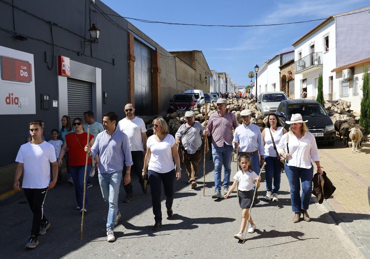 La Trashumancia y la Feria del Queso brillan en su estreno como interés turístico regional