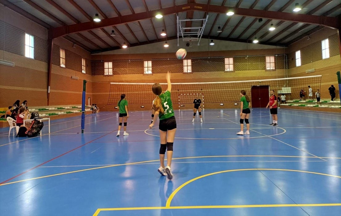 Torneo de verano de Voleibol